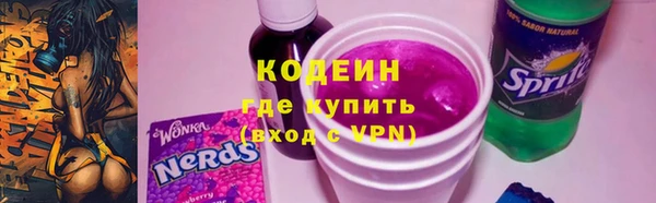 прущие крисы Ельня