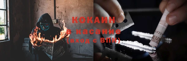 прущие крисы Ельня
